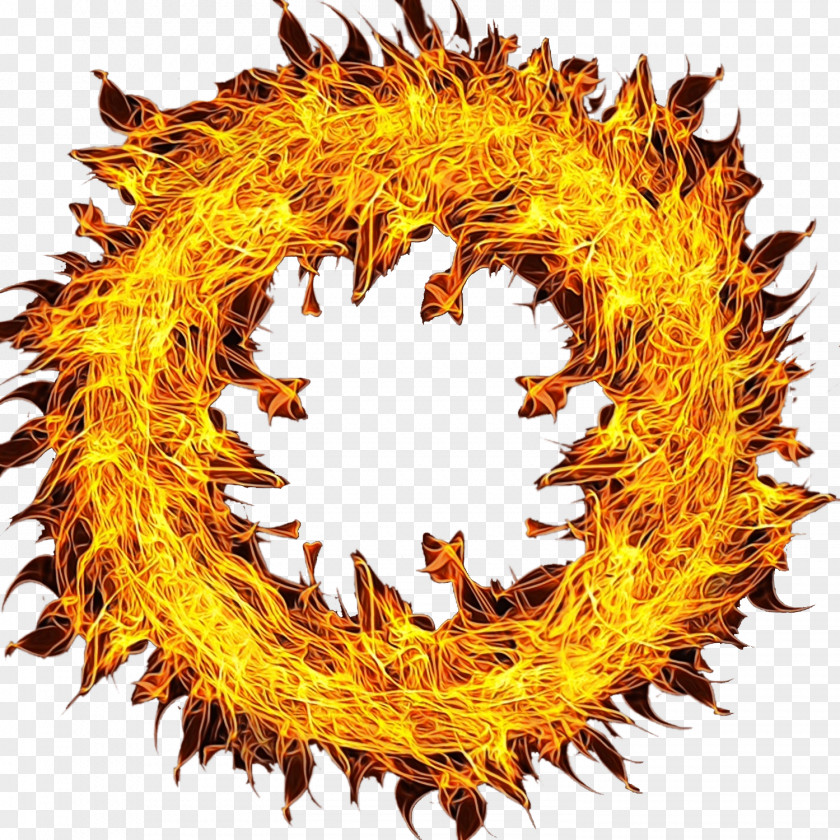 Fire Symbol Leaf Circle PNG