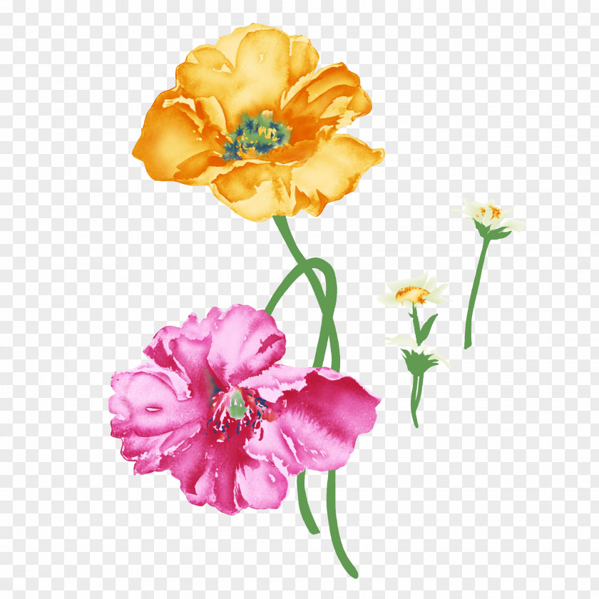 Flowers Flower Rosa Chinensis Painting Illustration PNG