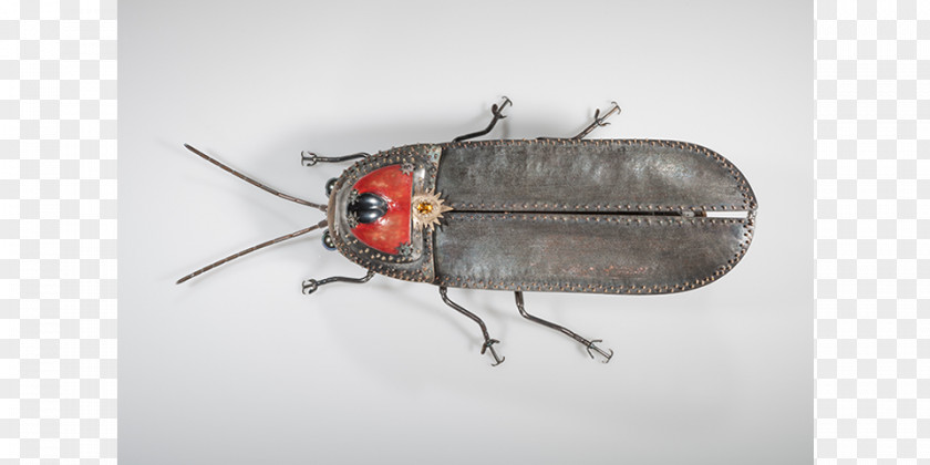 Lightning Bug Beetle Firefly True Bugs Pest Light PNG