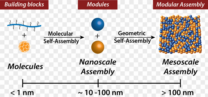 Self-assembly Of Nanoparticles Molecular Nanotechnology PNG