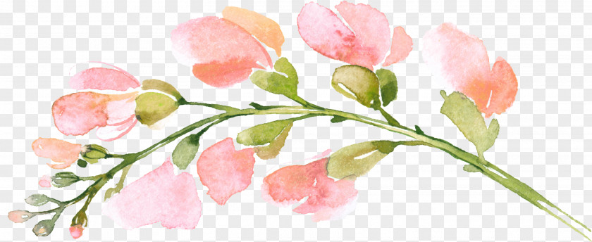 Watercolor Leaves Eagan Logo Flower Love Fashion PNG