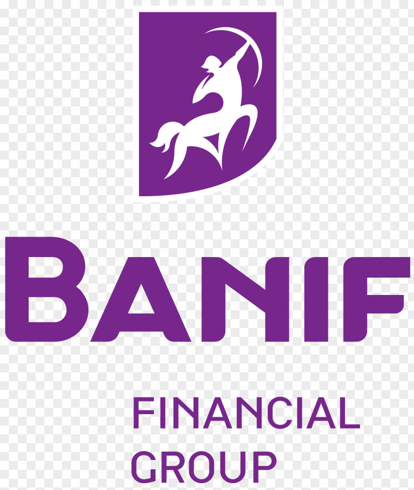 Bank Banif Financial Group Logo Finance PNG