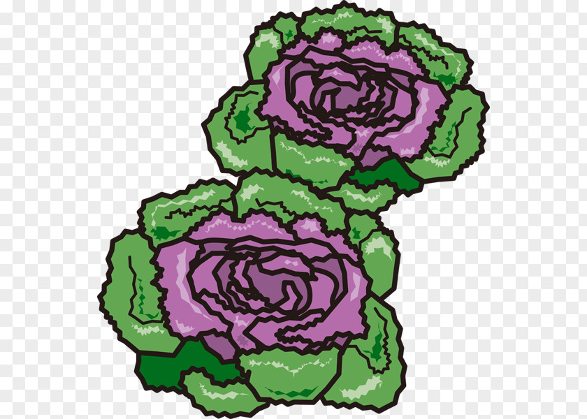 Floral Design Brassica Oleracea Var. Acephala Clip Art Illustration Cut Flowers PNG