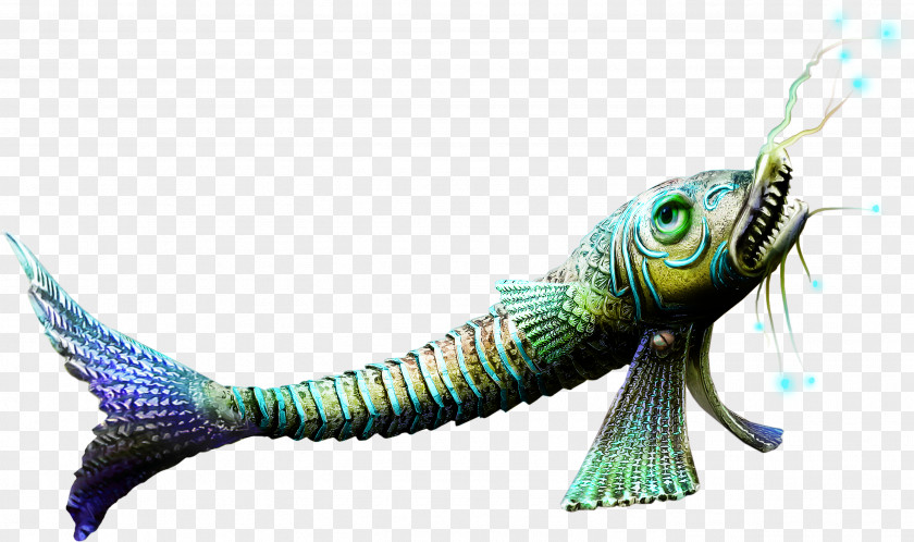 Piranha Free Download Clip Art PNG