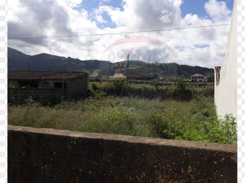 Ribeira Grande Azores Grande, Land Lot Real Estate Property Plant Community PNG