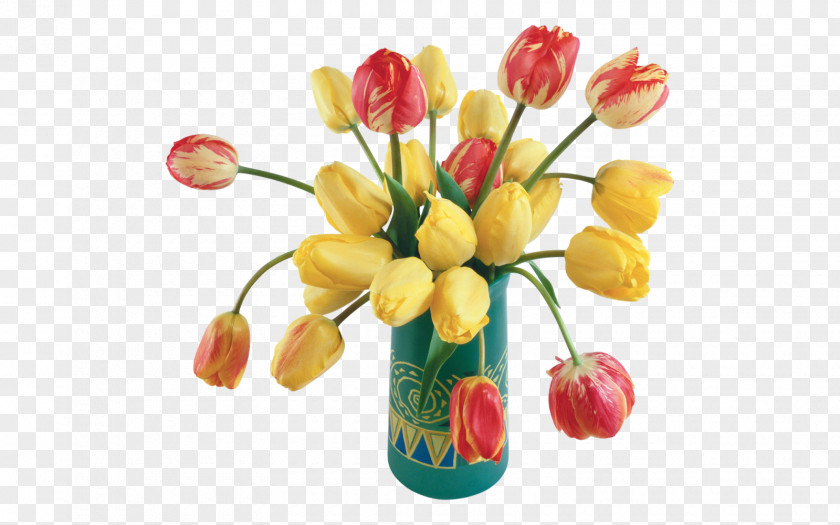 Tulip Blessing Greeting God Bless You Happiness PNG
