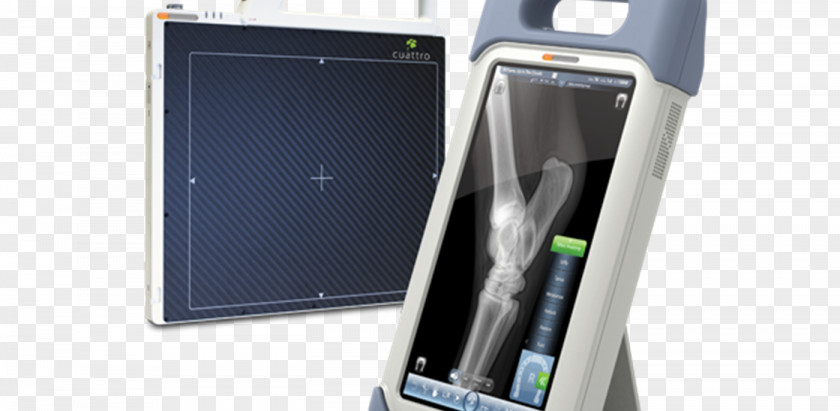 Animal Doctor Digital Radiography X-ray Smartphone Medical Imaging PNG