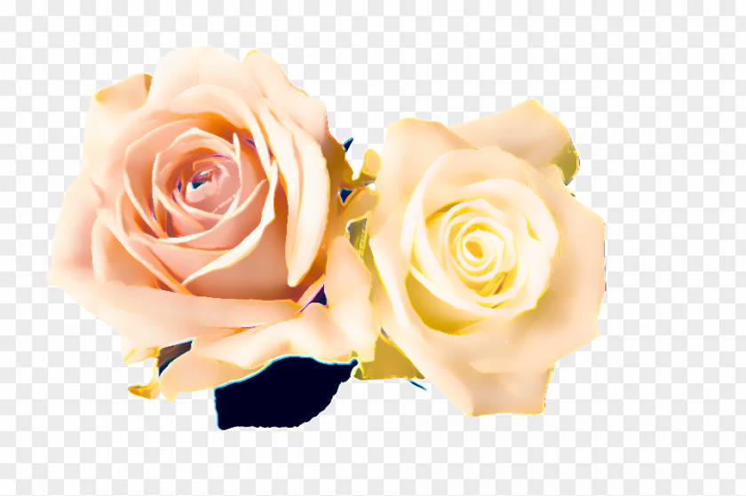 Beige Artificial Flower Wedding Background PNG