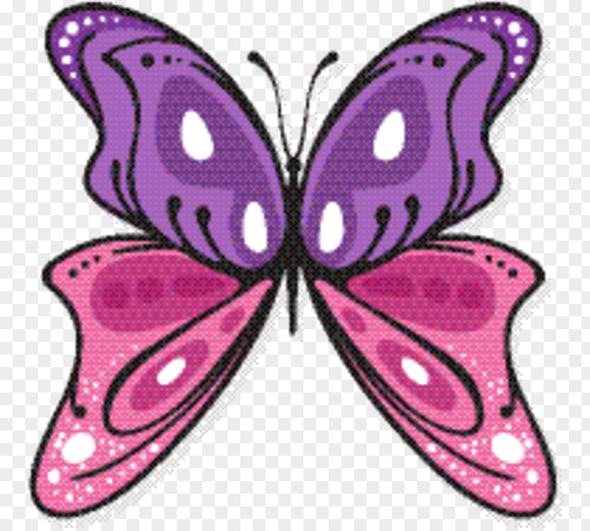 Emperor Moths Magenta Tiger Cartoon PNG