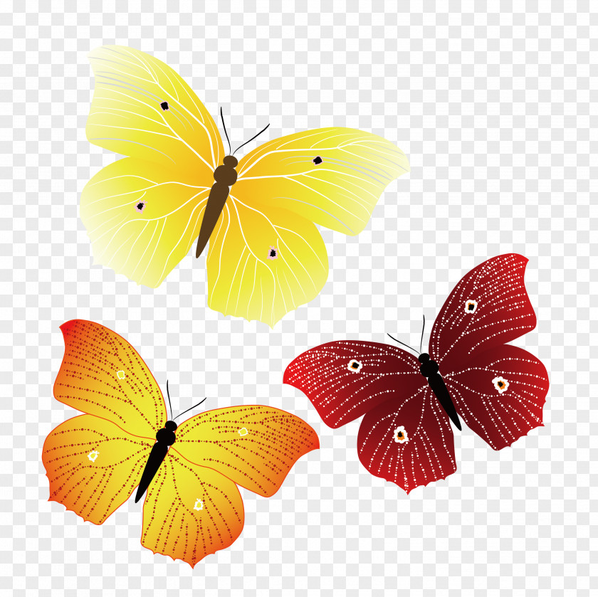 Line Butterfly Singles Monarch PNG