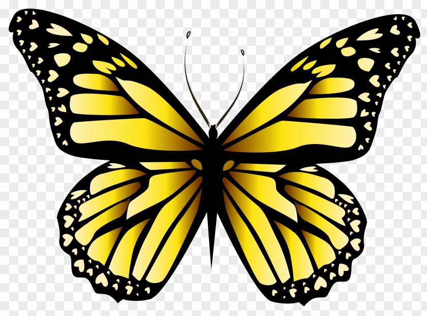 Butterfly Blue Clip Art PNG