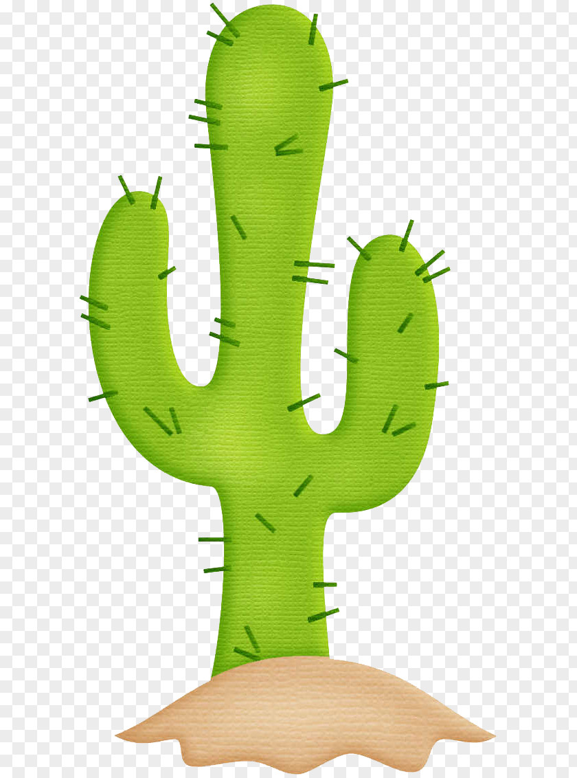 Cactus Cactaceae Mexico Paper PNG