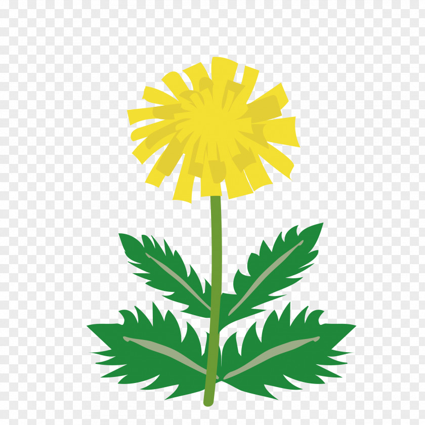 Dandelion LINE BLOG Clip Art PNG