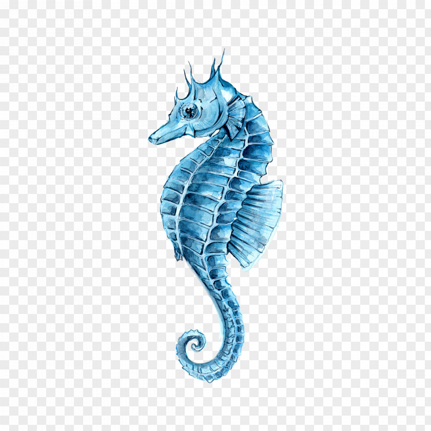 Green Hippocampus Drawing Watercolor Painting Seahorse Clip Art PNG
