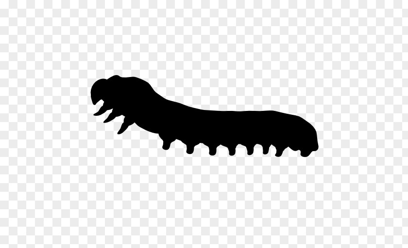 Insect Silhouettes Worm Animal Silhouette Icon PNG