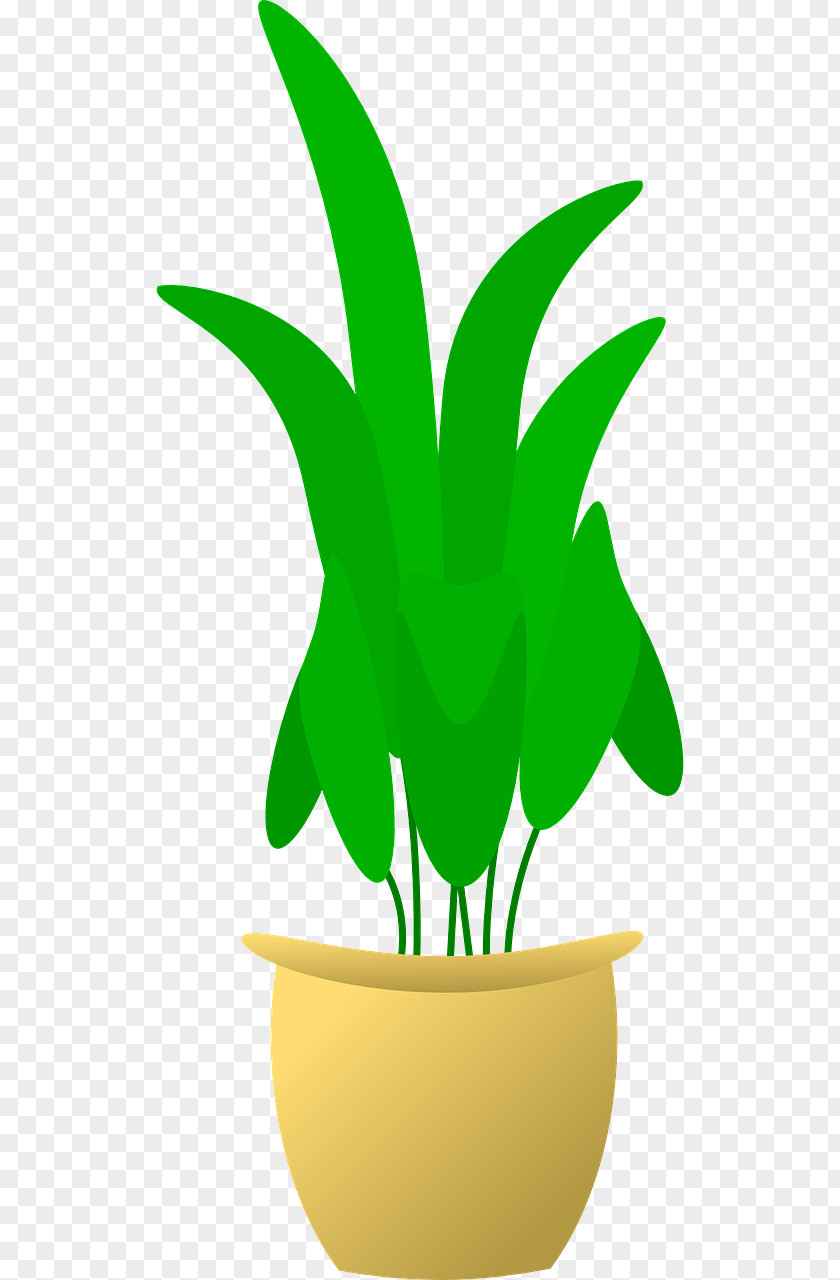 Plant Flowerpot Clip Art PNG