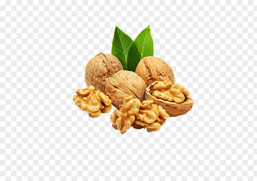Walnut Organic Food English Almond PNG