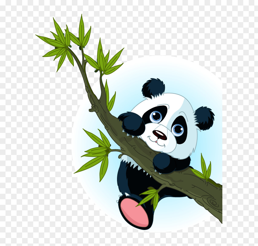Bear Giant Panda Red Tree Climbing PNG