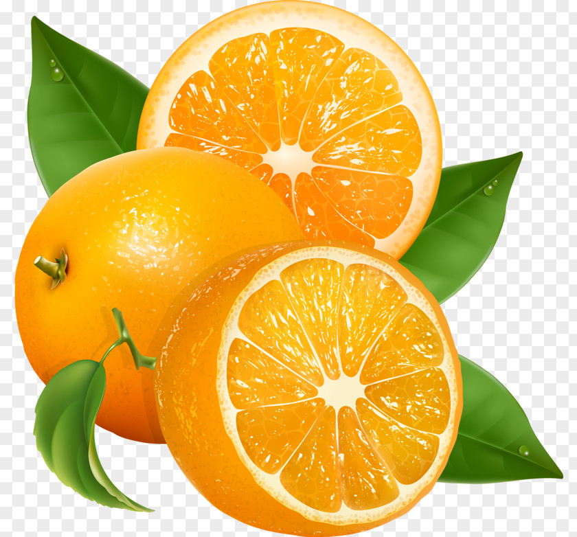 Orange Juice Clip Art PNG