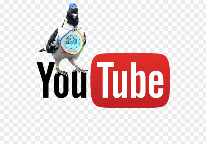 Youtube YouTube Live Streaming Media Television Show Video PNG