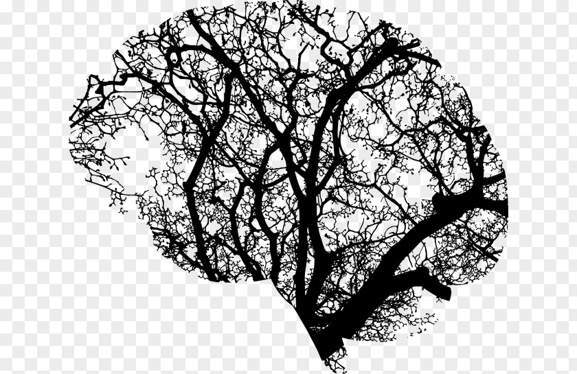 Brain Human Tree Clip Art PNG