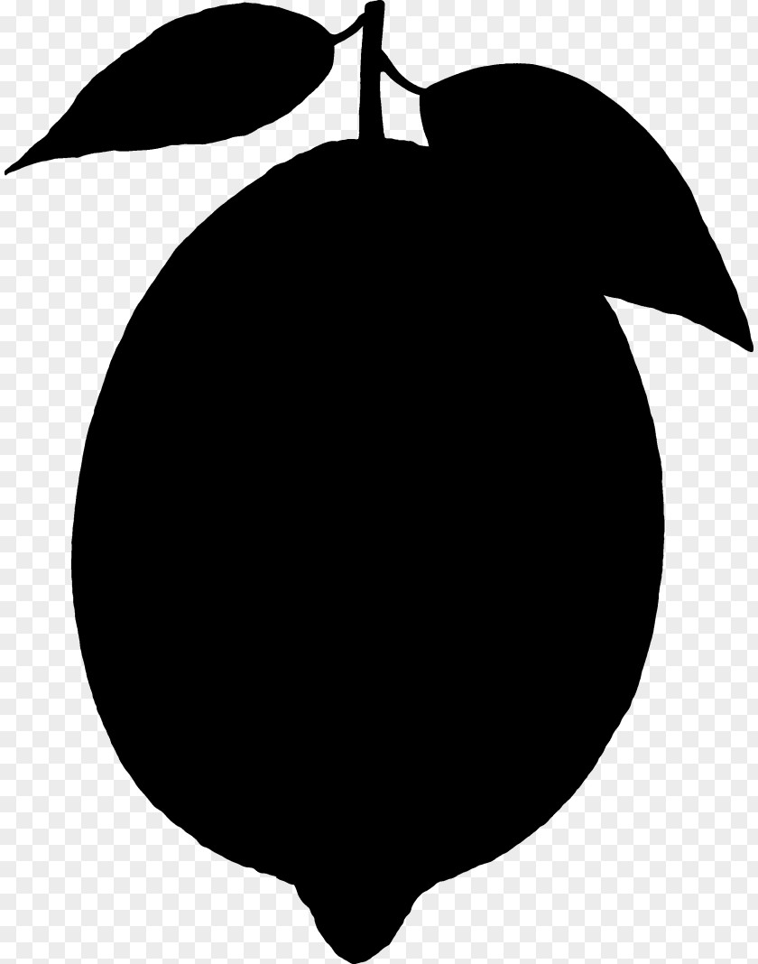 Clip Art Fruit Silhouette Line Flowering Plant PNG