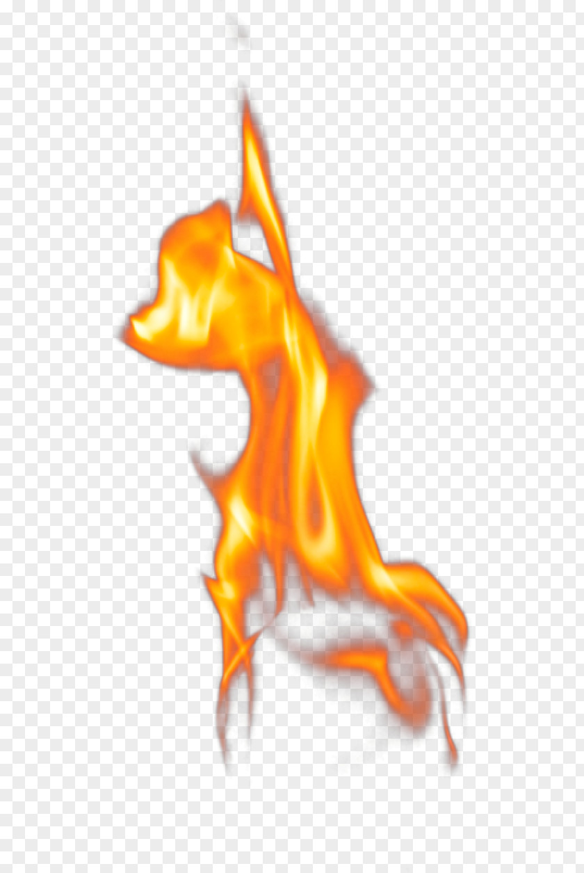 Flame Fire Euclidean Vector PNG