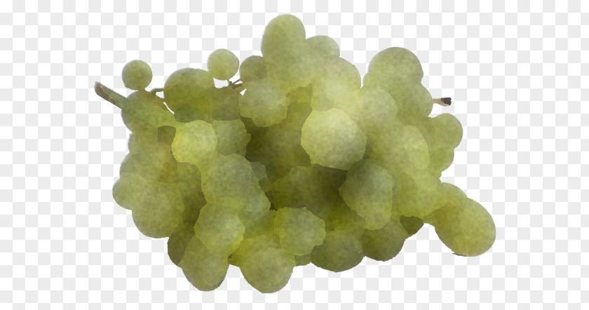 Flower Food Grape Grapevine Family Seedless Fruit Sultana Vitis PNG
