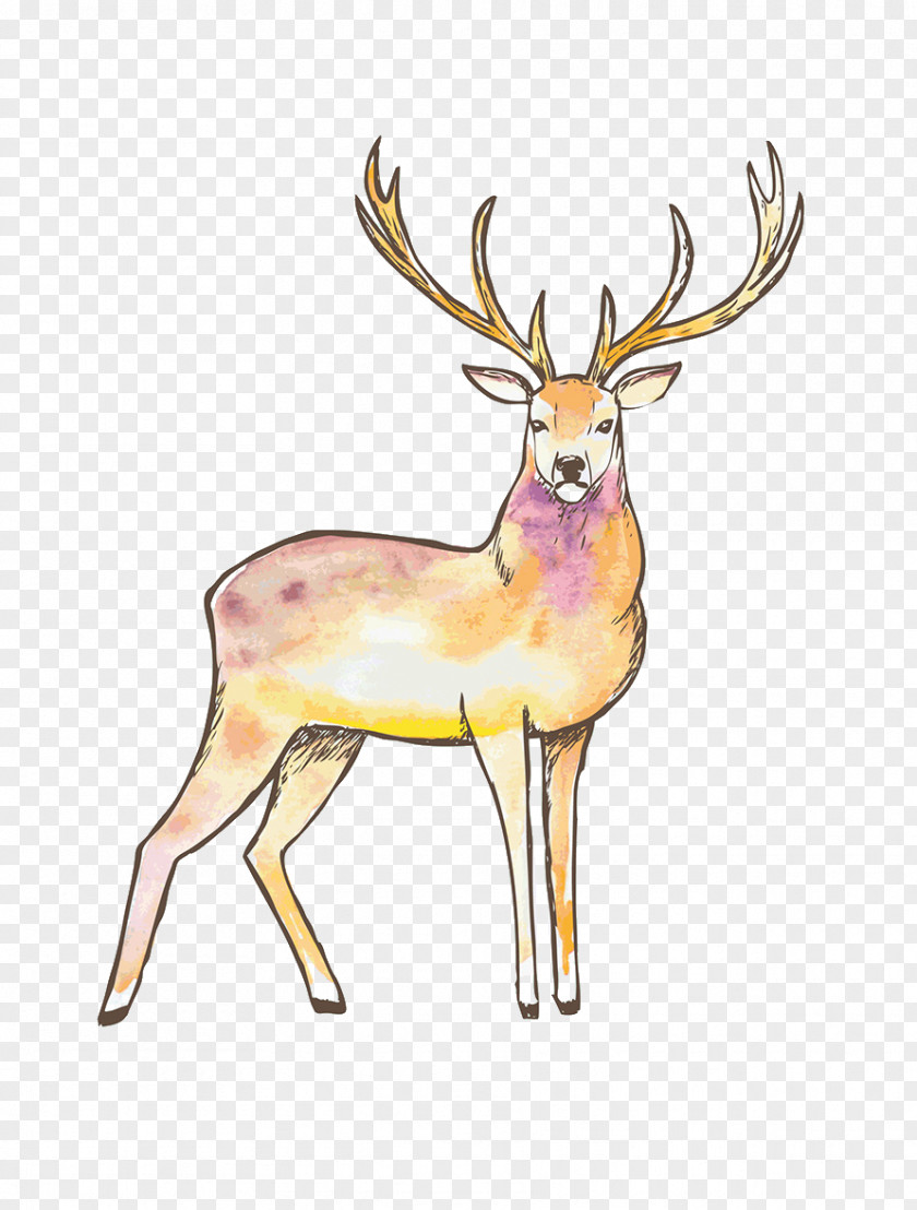 Painted Deer Pattern Reindeer Elk Red Moose PNG
