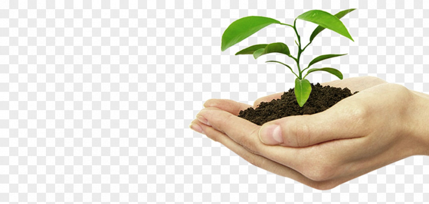 Plant Agriculture Preventive Healthcare Irrigation EKO UNIJA SN PNG