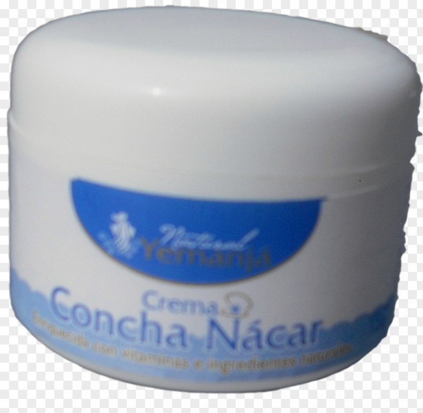 Seashell Nacre Cream Snail Rum Baba PNG