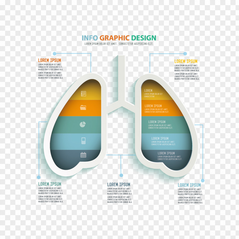 Vector Lung Information Map Cancer Euclidean PNG