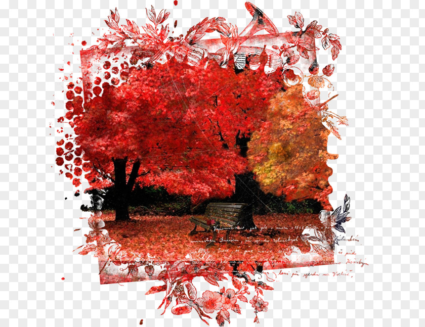 Autumn Clip Art PNG
