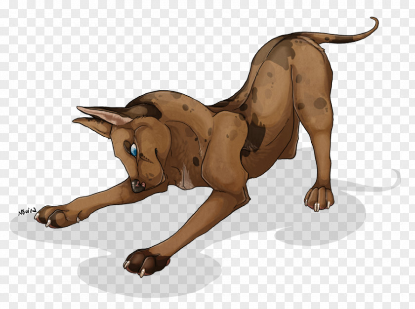 Lion Dog Breed Cat Paw PNG