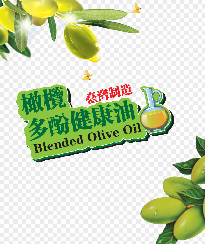 Olive Oil Polyphenols Health Polyphenol PNG
