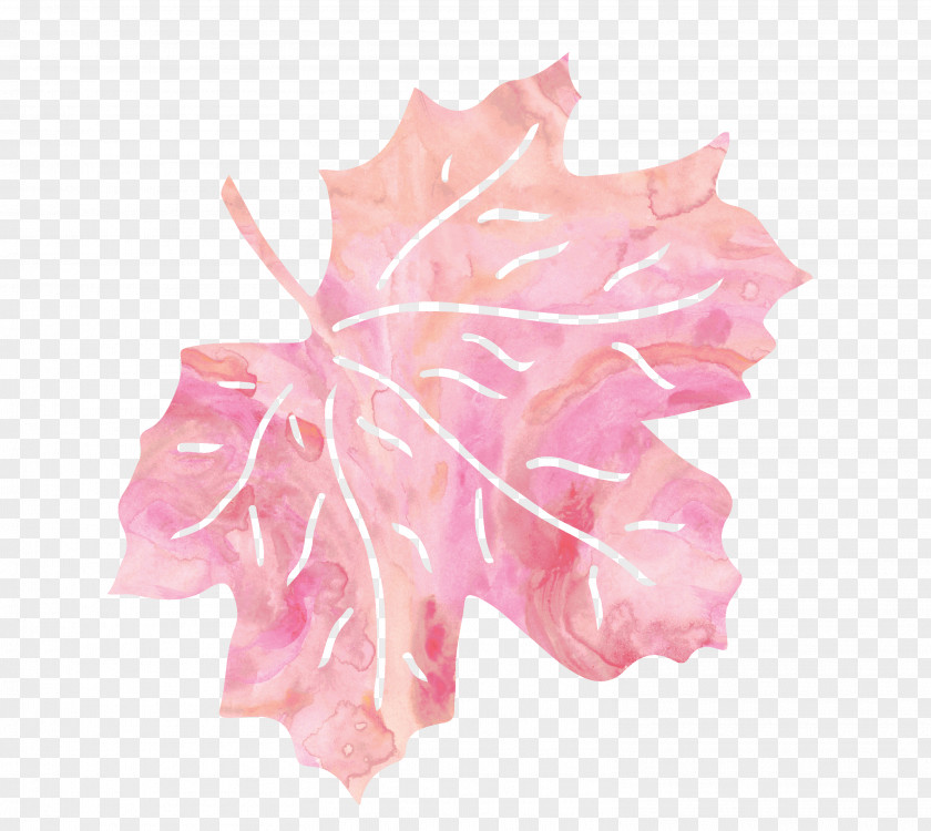 Pink Leaves Leaf Petal PNG