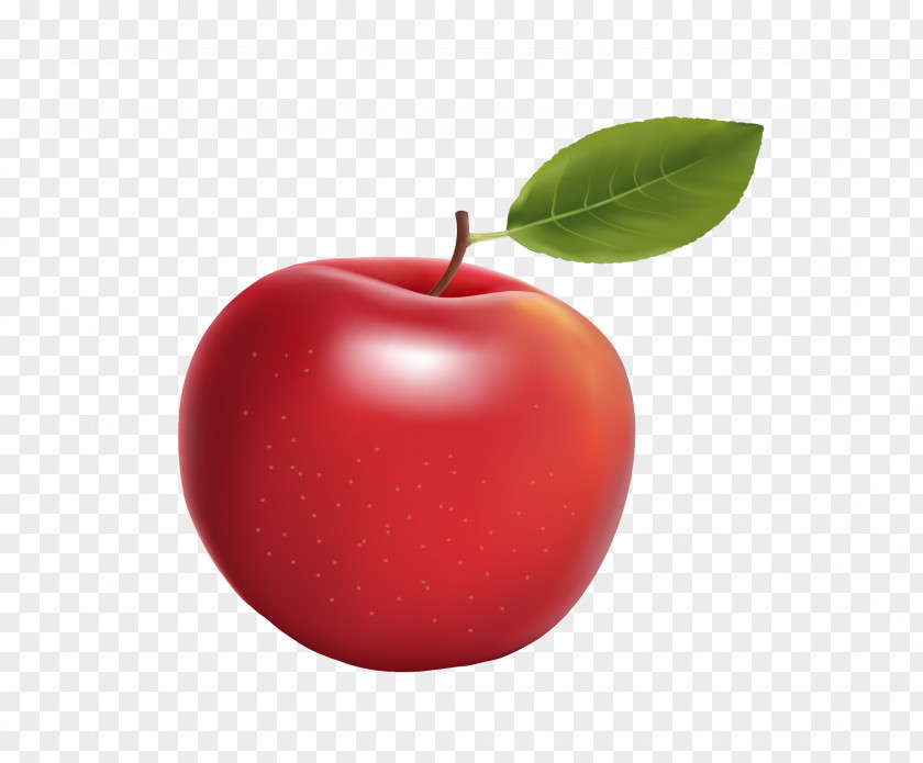 Vector Red Realistic Big Apple PNG