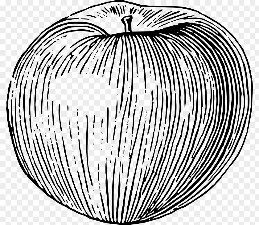 Apple Candy Drawing Fruit PNG
