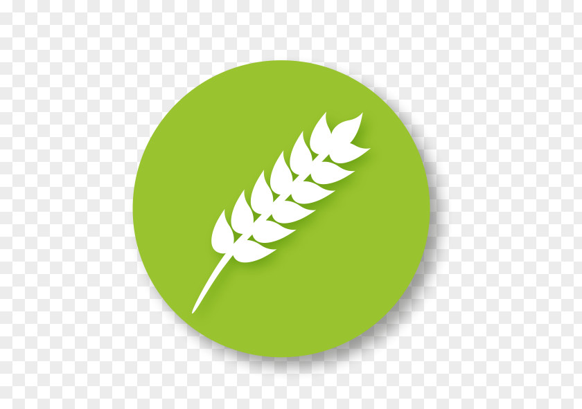 Dishes Gluten-free Diet Food Symbol PNG