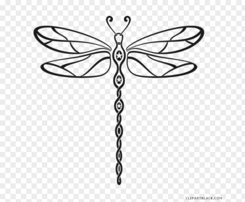 Insect A Dragonfly? Clip Art Drawing PNG