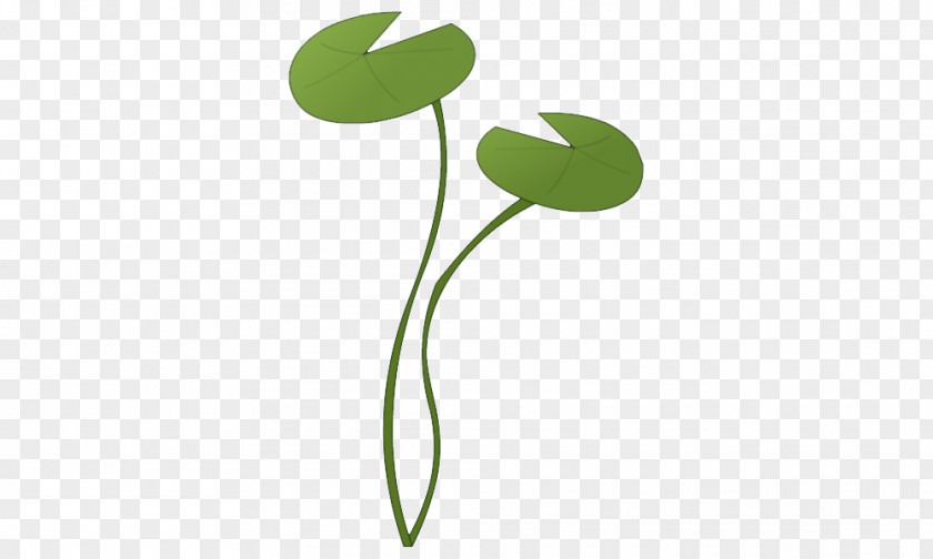 Leaf Plant Stem Flower PNG