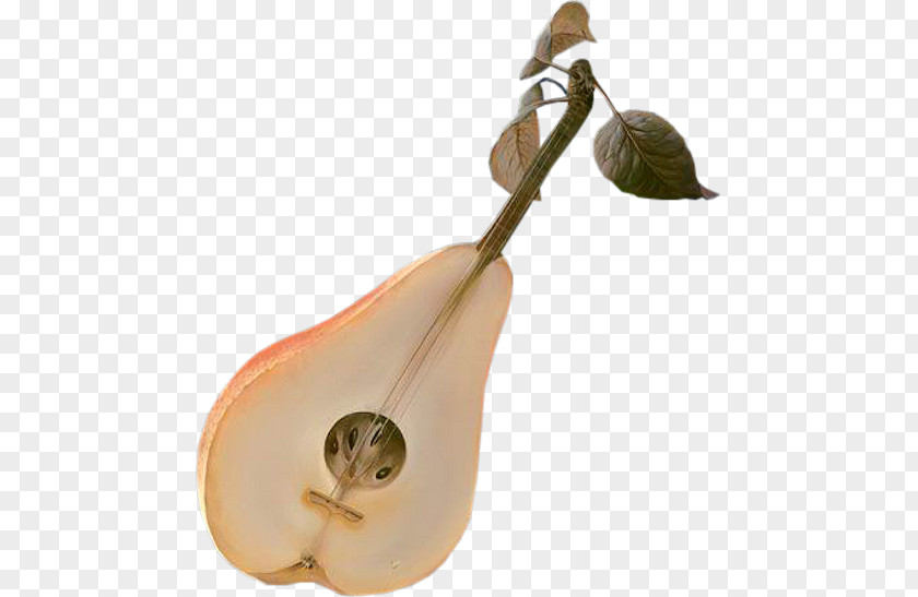 Musical Instruments Art Pipa PNG