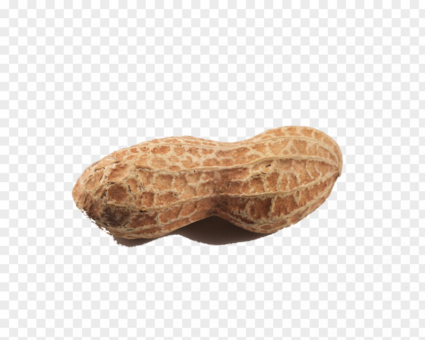 Peanut Transparent Images Nut Roast Butter And Jelly Sandwich Brittle PNG