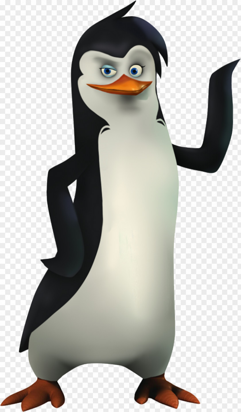 Penguins Penguin Madagascar Animation Clip Art PNG