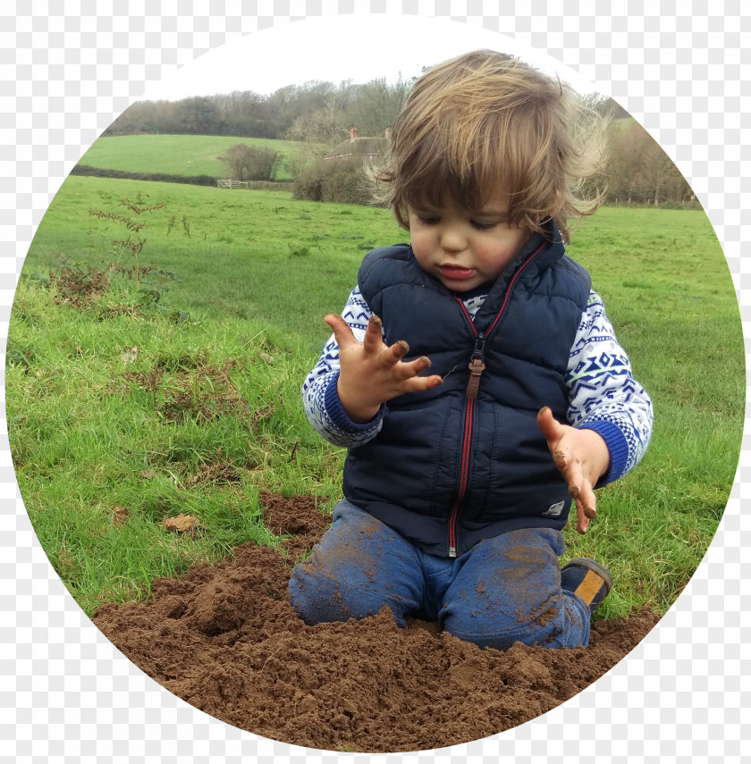 Tree Toddler Soil PNG
