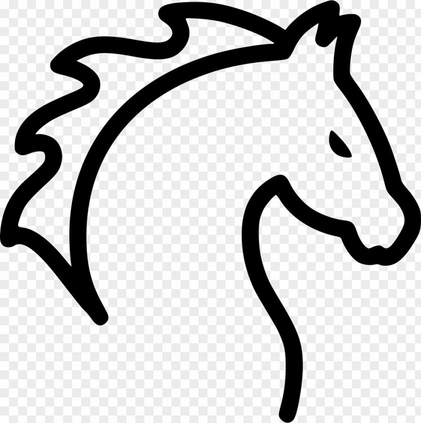 Whitehorse Icon Pony Arabian Horse Racing PNG