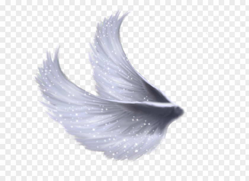 Wings File Clip Art PNG