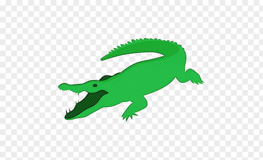Crocodilia Crocodile Alligator Reptile Green PNG