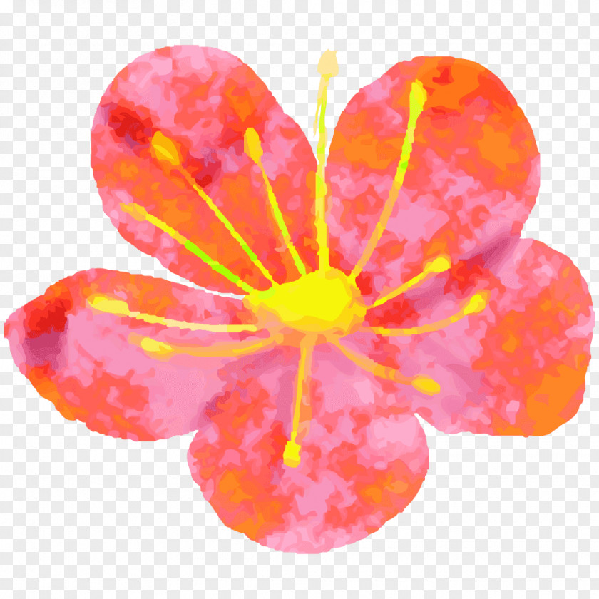 Design Petal Art Plum Blossom PNG