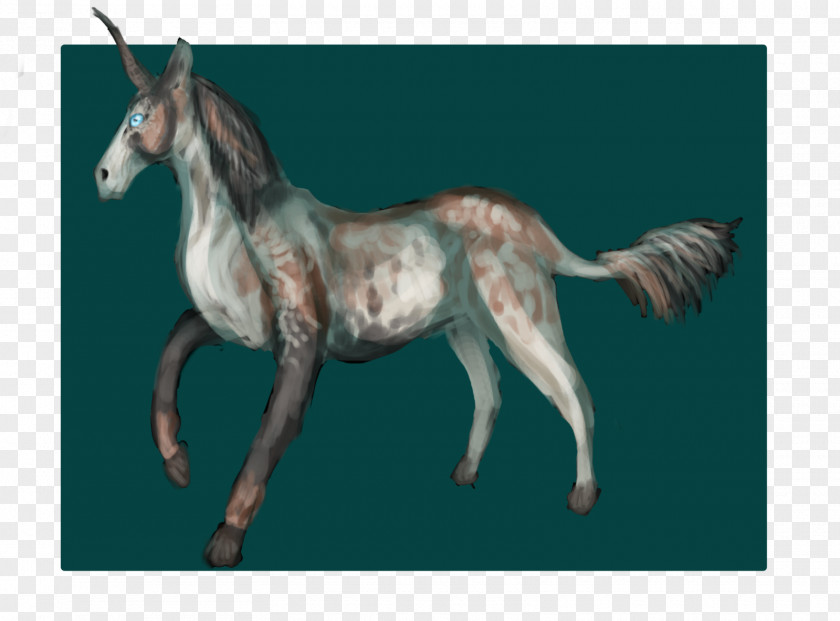 Mustang Mule Foal Stallion Colt PNG